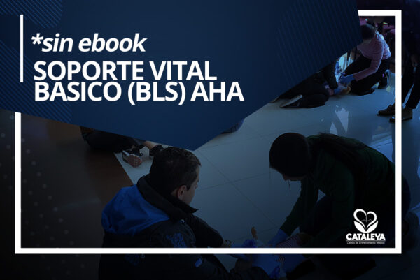 CERTIFICACIÓN BLS AHA - *SIN EBOOK