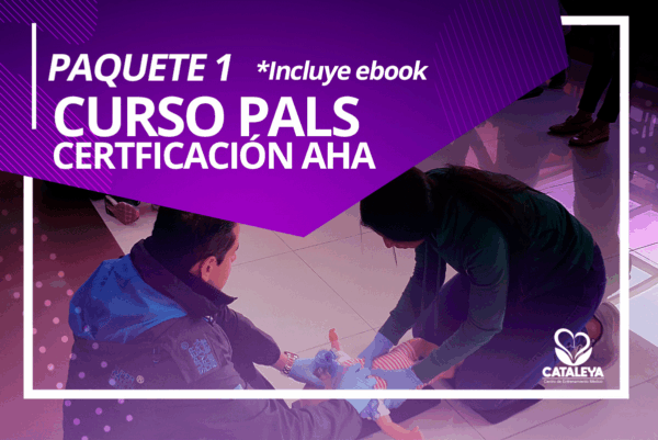 CERTIFICACIÓN SOPORTE VITAL AVANZADO PEDIÁTRICO / PALS AHA (PAQUETE 1)
